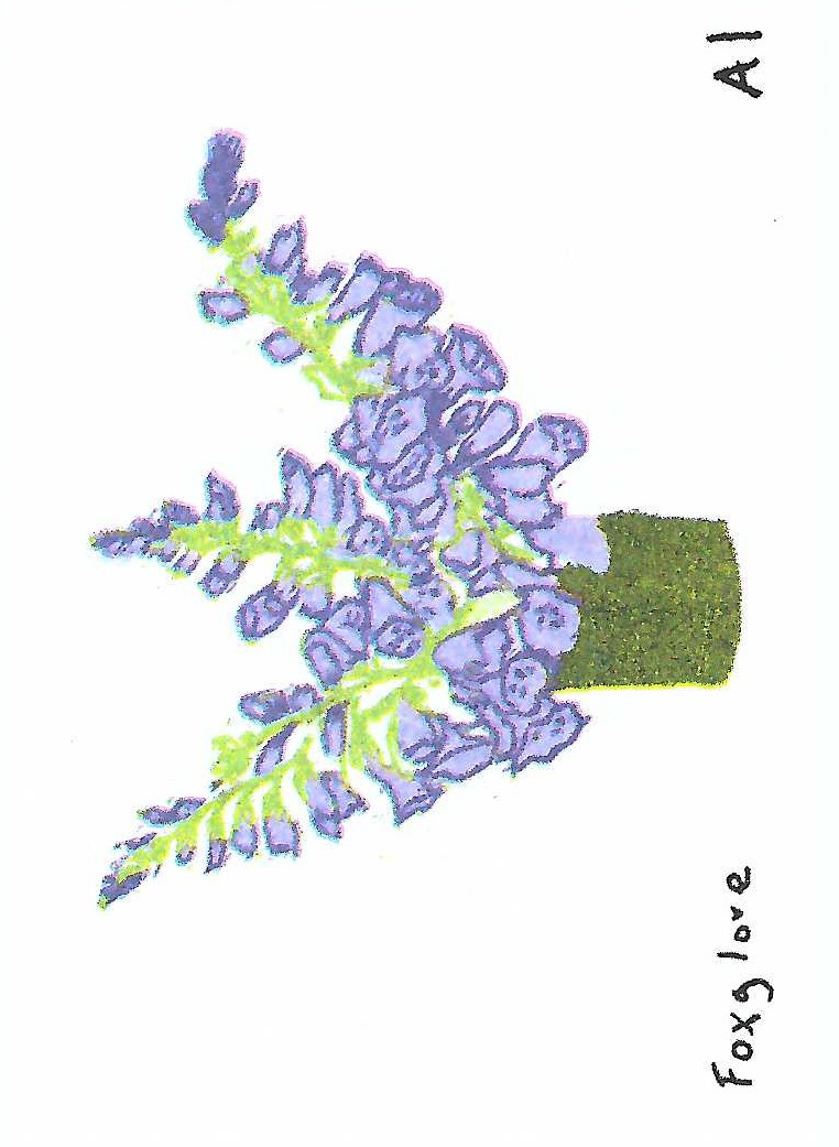 Foxglove