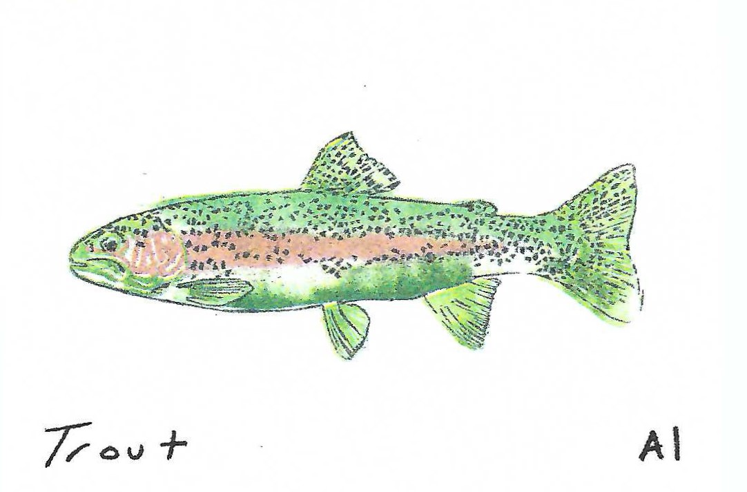 Trout